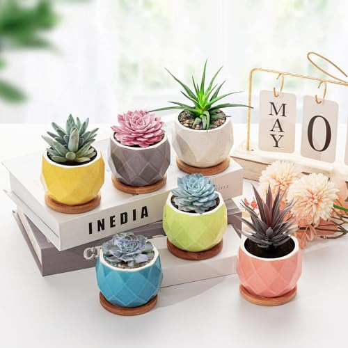 Conjunto De 6 Macetas Pequeñas Para Suculentas - Mini Maceta