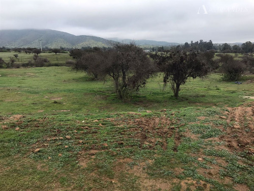 Sitio En Venta En Melipilla