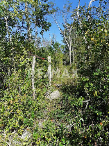 En Venta Hectarea En La Region 11 Manzana 861