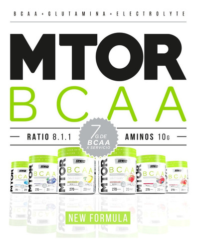 Mtor Bcaa + Glutamina Star Nutrition 270 Grs Aminoacido
