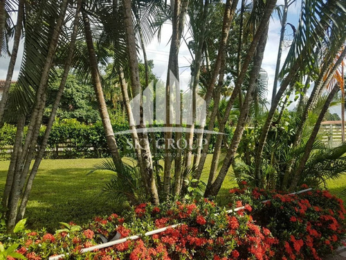 Imagen 7 de 20 de Oportunidad! Bella Finca En Safari, Valencia. Ahitza Castillo. 04125038440