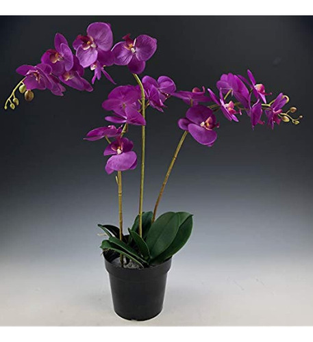 Amerique Planta Artificial De Orquídea Phalaenopsis Única Y 