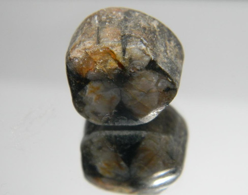 Andalucita (quiastolita - Piedra Cruz) De 3.51 G