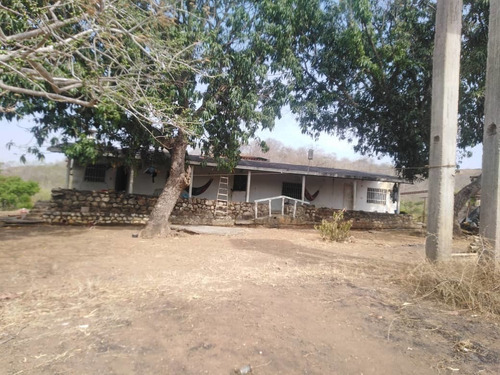 Imagen 22 de 28 de Finca En Venta En El Estado Guarico