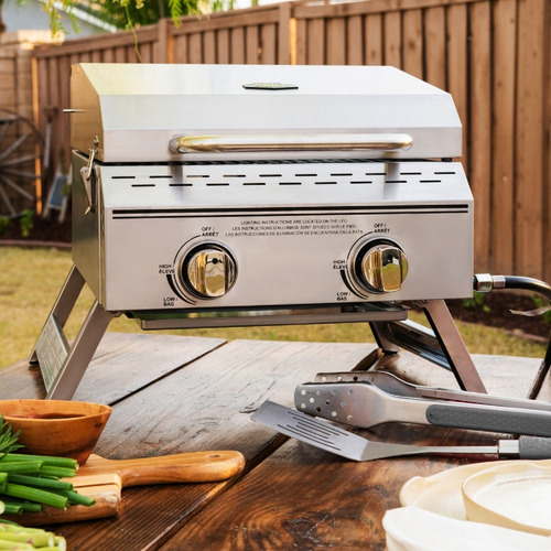 Barbacoa Parrillero A Gas Portatil Expertgrill 2 Quemadores