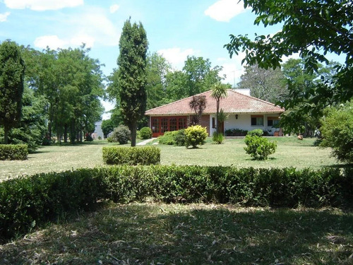 Imagen 7 de 14 de Campo En Venta - Loma Verde