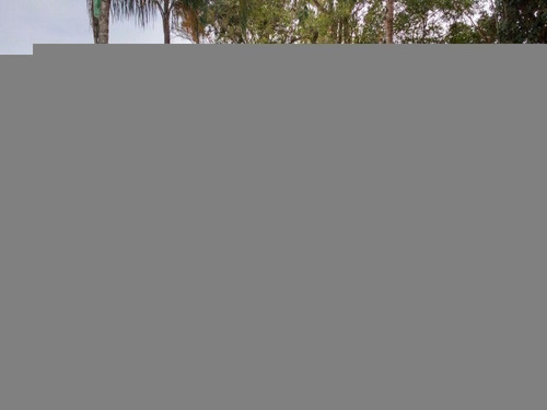 Chácara Em Mongaguá, Há 5 Minutos Da Praia. - 1350 - 4905156