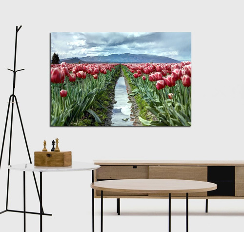 Cuadro 50x75cm Tulipanes Rojos Campo Montañana Acequia