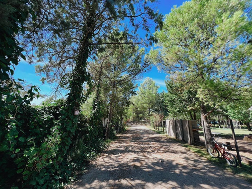 Imagen 15 de 22 de Casa Quinta En Venta-los Chañares