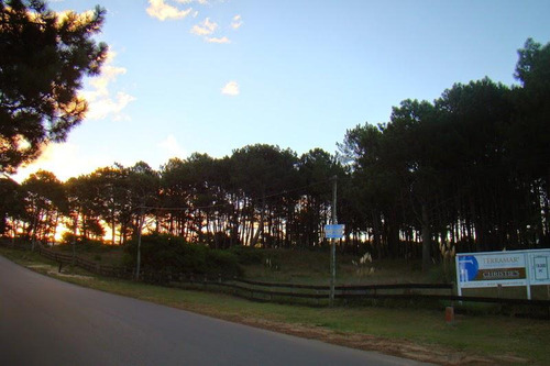 Gran Terreno En Venta Altos De La Barra Tm48843