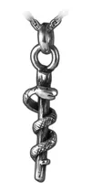 Comprar Dije Vara De Esculapio Medicina Medicos Egresados Plata 925