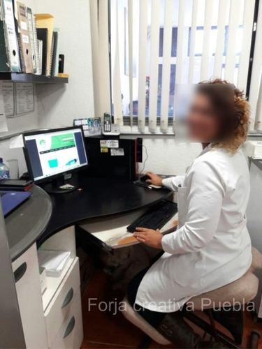 Silla Ergonomica 2 En 1