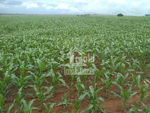 Imagem 6 de 8 de Fazenda À Venda, 262 Alqueires Por R$ 36.680.000 - Zona Rural - Assis/são Paulo - Fa0243