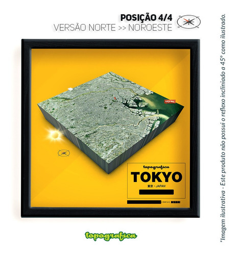 Tóquio (japão) - Mapa 3d Infograf - 1 Quadro 20x20cm