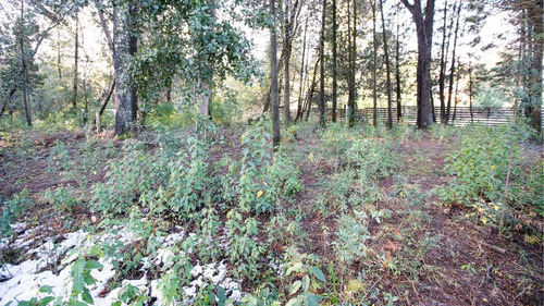 Venta Lote 1 En Barrio Exclusivo Con Acceso Al Lago - Bv. Quetrihue 338 Villa La Angostura