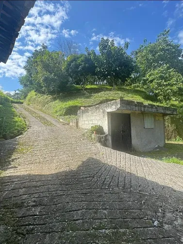 Terreno