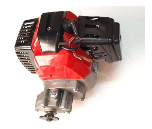 Imagen 1 de 6 de Motor 49cc2t Con Con Reductos Centrifugo 17t