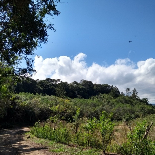 Chácara Pequena Em Agudos Do Sul Paraná