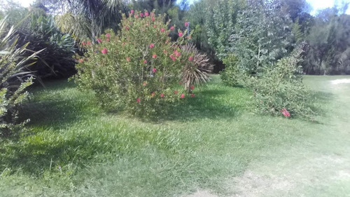 Imagen 6 de 27 de Casa En Balneario Solis