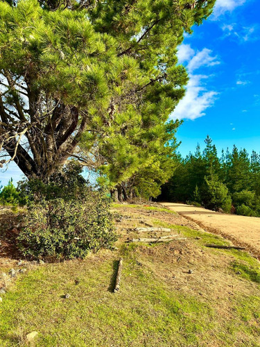 Parcelas En Vichuquén Al Lado De Laguna Torca Y Playa Llico