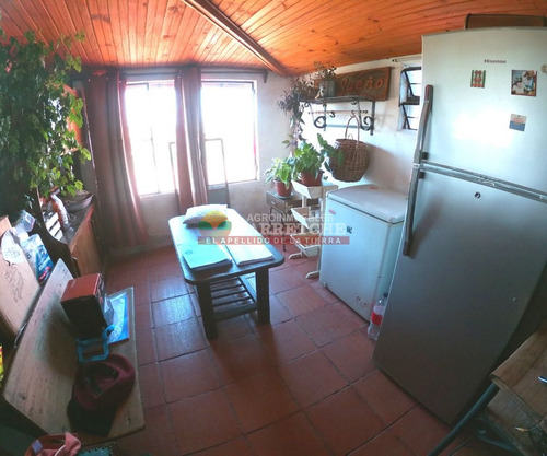 Imagen 10 de 21 de Chacra En Venta, 3 Has En Los Cerrillos, Casa Y Galones, Sobre Ruta!