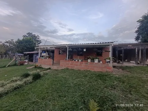 Vendo Finca En Otramina En Titiribí Suroeste Antioqueño De 2 Cuadras Topografía Plana