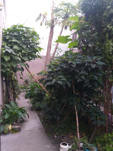 Imagen 7 de 14 de Casa Lindavista 4 Recámaras 5 Baños,cuarto Servicio, Cochera