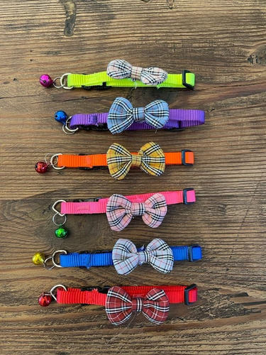 Collares Lindos Para Gato Surtidos