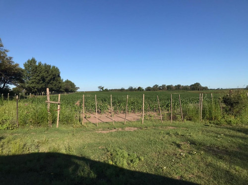 Se Vende Campo Mixto 161 Ha En Los Molinos (córdoba), A Tranquera Cerrada.