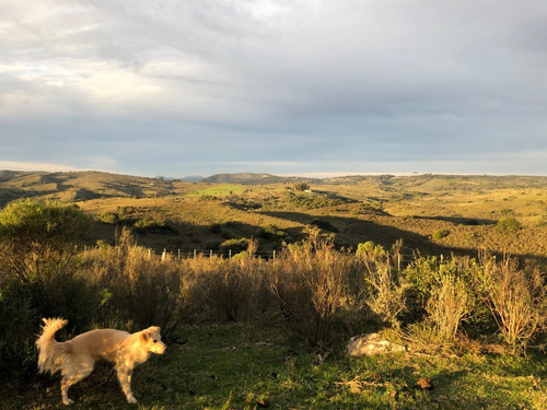 Chacra Campo Turistico 5ha Espectacular En Minas Lavalleja
