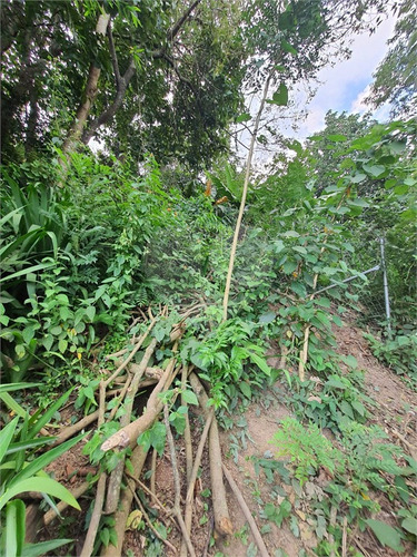 Imagem 3 de 15 de Terreno-são Paulo-campo Limpo | Ref.: Reo650663 - Reo650663