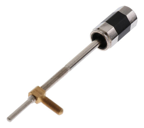 Peça De Instrumento Musical De De Sapo De De Contrabaixo