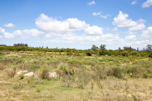 Venta Campo 20 Has