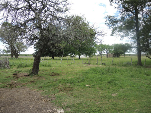 Campo En Venta, Villaguay, Entre Ríos