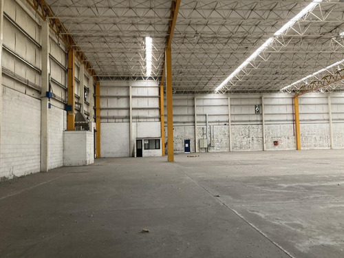 Imagen 9 de 27 de Depósito 6.000m2 - Rosario