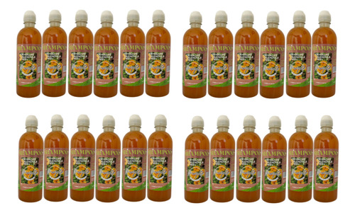 Shampoo Caléndula Y Miel Mogote Creative 500 Ml Pack 24