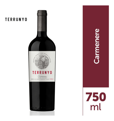 Vino Tinto Terrunyo Carmenere Concha Y Toro 750 Ml