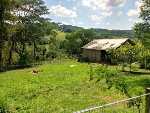 Chácara 17.800 M² - Fazenda Fialho - Taquara - Rs - 2060 - 33624263