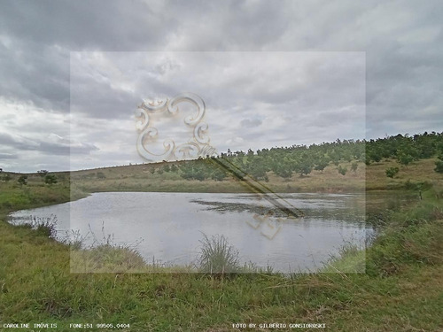 Imagem 14 de 15 de Sítio / Chácara Para Venda Em General Câmara, -, 2 Dormitórios, 2 Banheiros, 2 Vagas - 10010_1-2229460