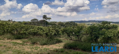 Imagem 8 de 13 de Sítio - Macuco - Sp - 636789