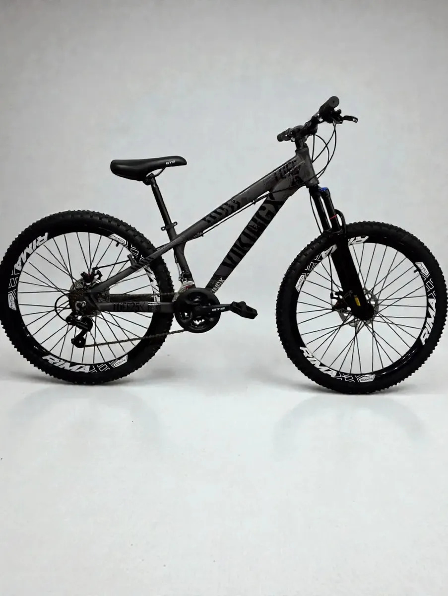 Bicicleta Viking Tuff 21v Freeride Grau Freios Disco Cor Roxo E