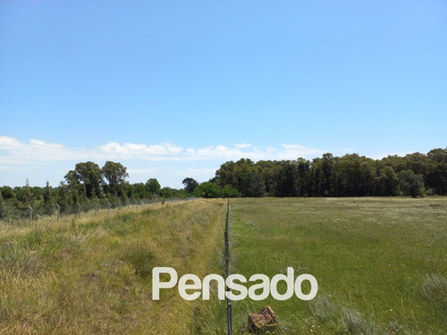 Imagen 14 de 18 de En Venta 1 Hectarea Con Servicios