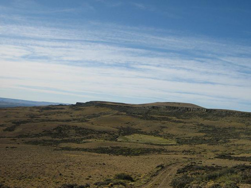 Inmobiliaria Comodoro - Estancia Productiva Próxima A Gobernador Gregores