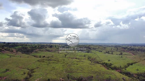Imagem 3 de 8 de Venda Sítio Theobroma Em Rondônia - Sig347