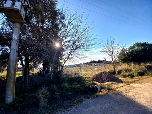 Imagen 6 de 6 de Terreno - El Zorzal (pda. Robles)
