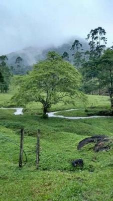 Imagem 11 de 14 de Sítio Com 18 Alqueires, Em Pedro De Toledo