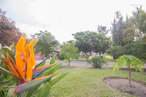 Terreno En Venta En Chapala, San Antonio Tlayacapan, Jalisco