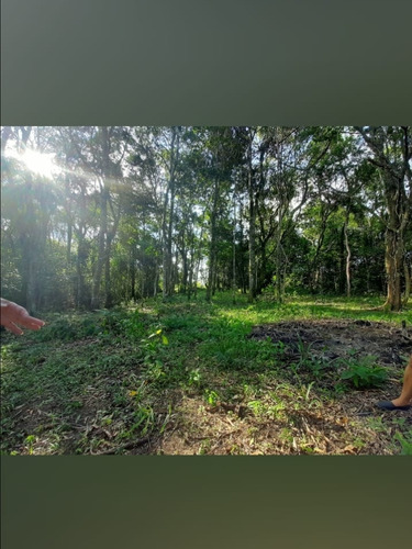Terreno À Venda Em Ibiúna Próximo À Represa, Excelente Localização