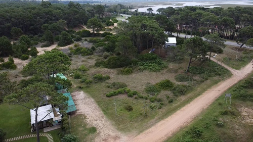 Venta De Lote Para Proyecto Rincon Del Indio Punta Del Este (ref: Iea-1975)