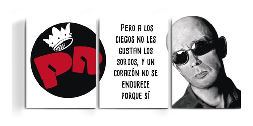 Cuadro Triptico Patricio Rey Frase Indio Solari Rock Naciona